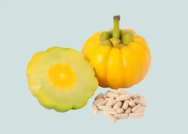 A Buyer’s Guide to Choosing Potent Garcinia Cambogia Extract for Wellness